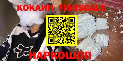 индика Сланцы