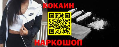 индика Сланцы