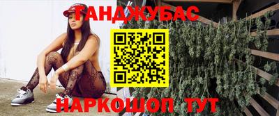 индика Сланцы