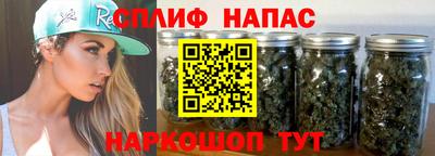 молекула духа Славянск-на-Кубани
