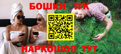 индика Сланцы