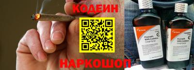 индика Сланцы