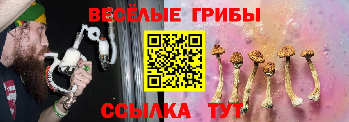Галлюциногенные грибы Psilocybe Прохладный