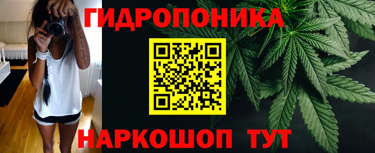 Бошки марихуана OG Kush  Марихуана OG Kush  Вход с VPN  Прохладный 